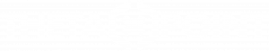 ThetaPoint Logo White